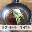 명정초등학교 | 울산 태화동, 태화강변 밀면맛집, 하해밀면, 섞어면, 여름엔 밀면이지, 존맛탱