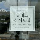 연제구-182 | 연산동 : 리플랫플라워(연산동꽃집, 연제구꽃집)