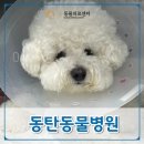 온동물의료센터 이미지