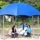 시청 앞 버스정류장 이미지