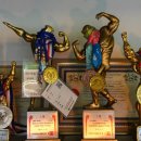 마젠타 헬스 피티 스튜디오 이미지