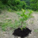 김삿갓면-11 이미지