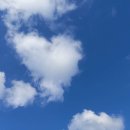 세종이지항외과의원 | 세종 항문외과 세종이지항외과 나성동 항문외과 치핵수술후기 1편