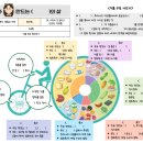 나영식품