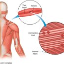 경희보비한의원 이미지
