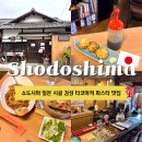 시마레스토랑 | 다카마쓰 쇼도시마 일본 시골 감성 타코야끼 파스타 맛집 메이즈