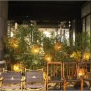 분당-331 이미지