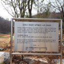연호다방