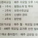 디라인(D-line) 이미지