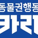 코코농장 이미지