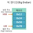 리틀바이트 이미지