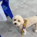 화중로104번길 이미지