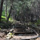 산과바다 이미지