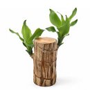 서석초등학교(병설) 이미지