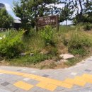 시루봉 | 진해 시루봉 ▎아름다운 바다 뷰와 여름에도 아이랑 등산하기 좋은 시루봉 산행 후기