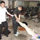 경북오토바이상사