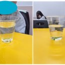 과학실험왕 초등부 | 미래탐구 초등부) 과학 특반 / 실험 수업 후기