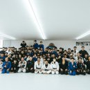 팀루츠 이미지