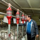 청학축산 이미지