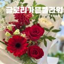 가든플라워 | 대전 봉명동 글로리가든플라워 꽃다발 포장 후기, 감성 꽃집 추천