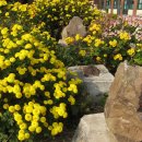 용황초등학교 이미지