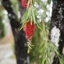 선원농장 이미지