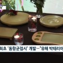 풍안 이미지