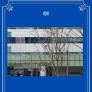 케이피티씨 네이버블로그