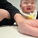 더 오물오물 | 7개월 육아(236~238일) / 처음으로 뒤로 가다! 감격, 이 나려고 할때 입을 오물오물, 두번째 문센 적응기