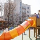 엄지의원 이미지