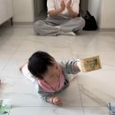 청도어린이도서관 | 설연휴 / 서기 연습 / 코마츠 / 아눅베이커스 / 수성공동육아나눔터 장난감도서관 / 함박눈 / 어린이집ot