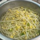 파티마당 이미지