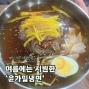 윤가밀냉면 | [내돈내산]부산서구 서대시장 시원한 밀면 '윤가밀냉면'