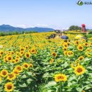 강주농장 이미지