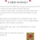 비지아이
