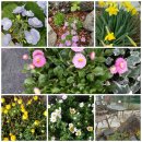 장기리추어탕 이미지