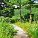 신성공원 이미지