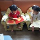 사랑나무가족도서관 이미지