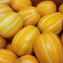 보화농장 이미지