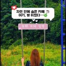 씨유 동해이편한점 | 동해 드라이브 카페 추천, 자연뷰 힐링되는 ‘달방 카페’ 방문 후기