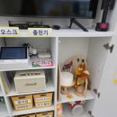 광양키즈