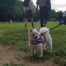 미미하우스 네이버블로그