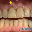 정직을심는치과의원 이미지