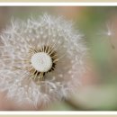 신명여자고등학교 이미지