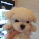 수원-0523 네이버블로그