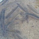 수도119군포점 이미지