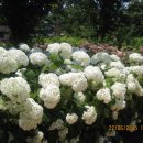 비석골근린공원 이미지