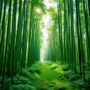 송월민박 이미지