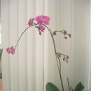 흙 한약국 이미지