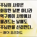 기독교 명언 - 주님의 사랑은 이미지